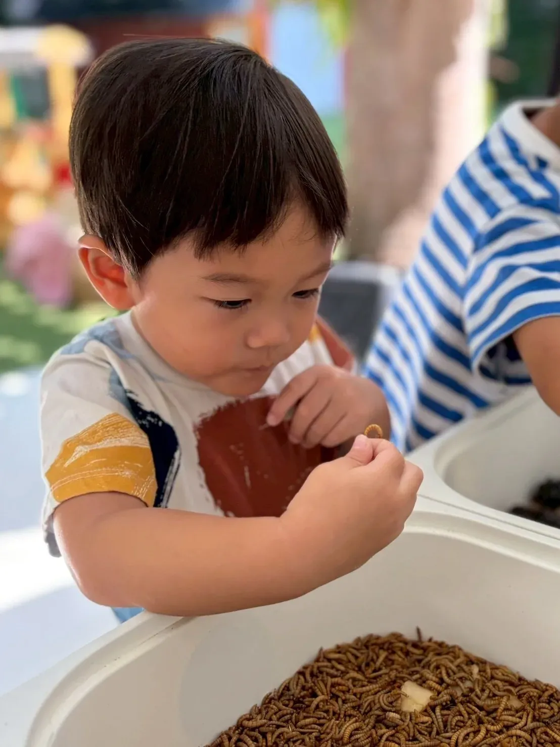 A toddler holding up a single larva to look at it closely