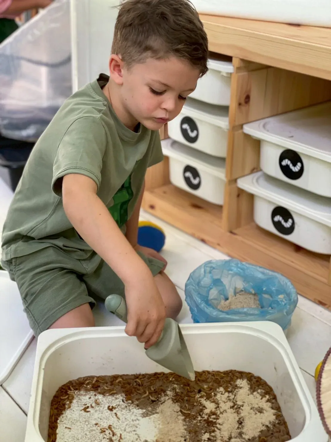 A boy scooping bran into the mealworm tray to feed them
