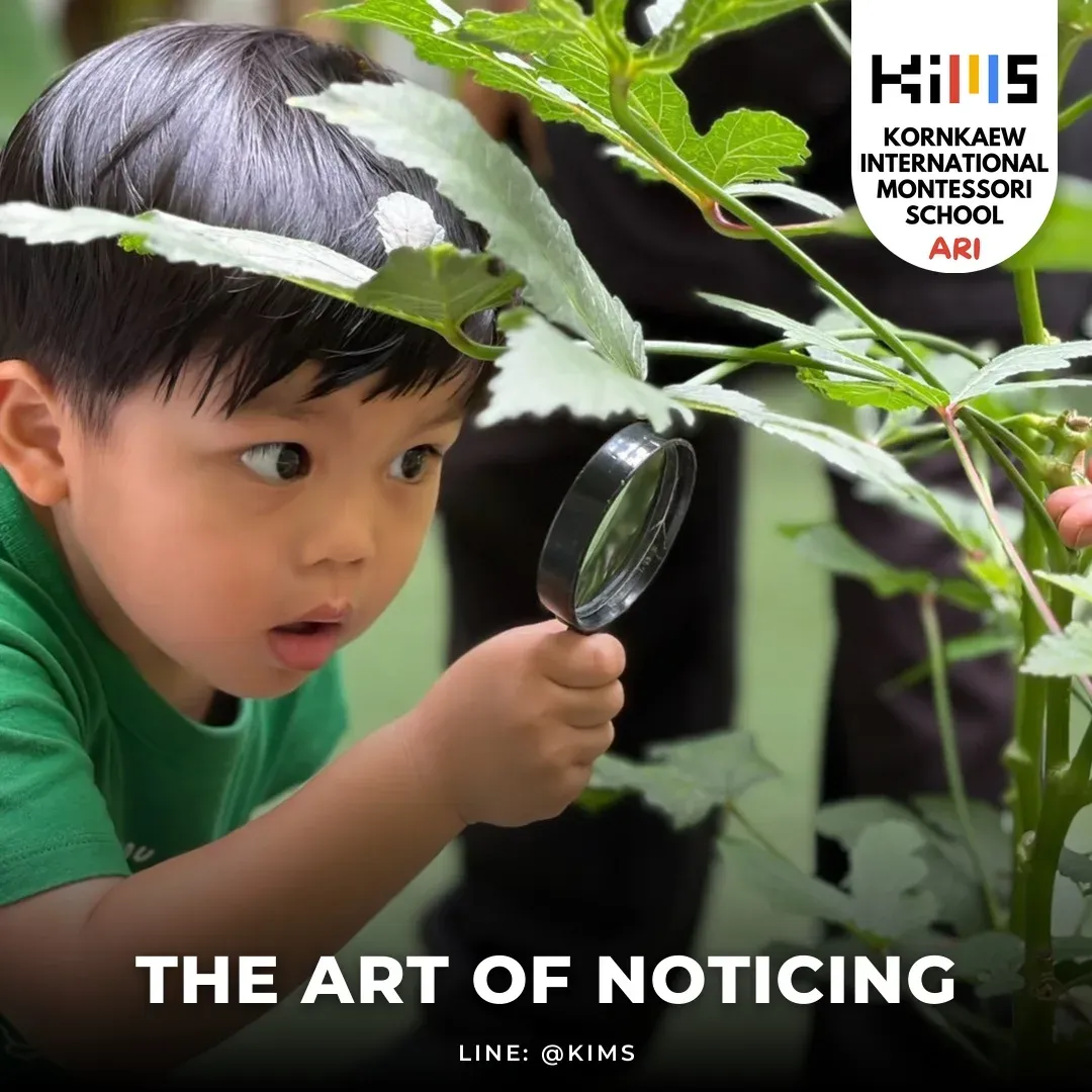 The art of noticing