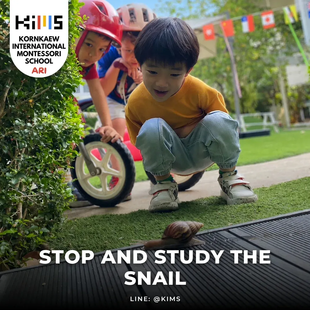 Stop and study the snail
